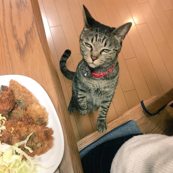 828a9450 b780 41fe 970a 950bc050ad57 1542586348282