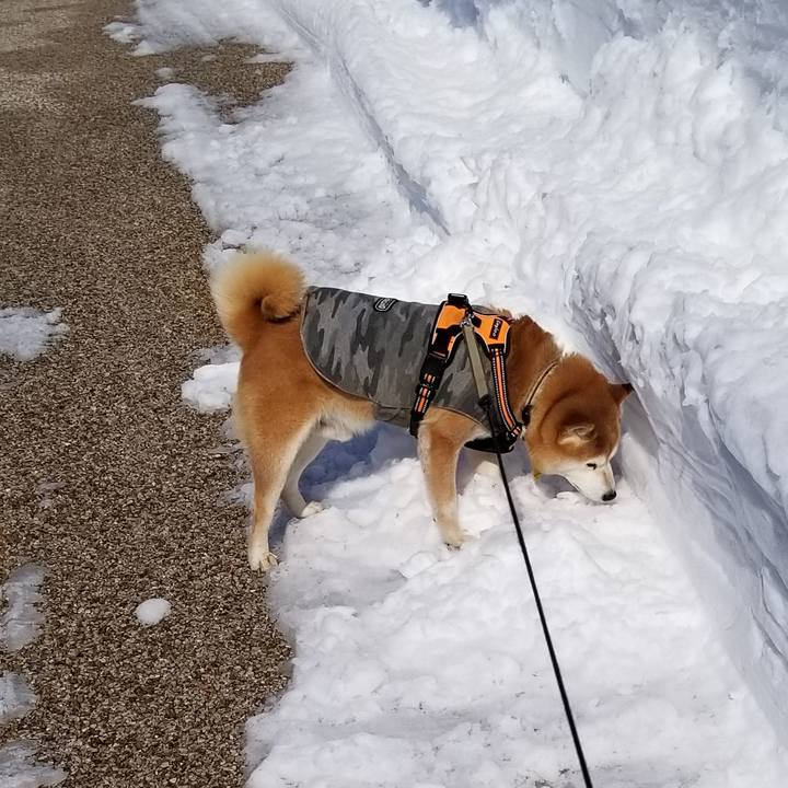 828a98c9 25b0 46f4 beb1 4dd2eb54583e 1644300118093