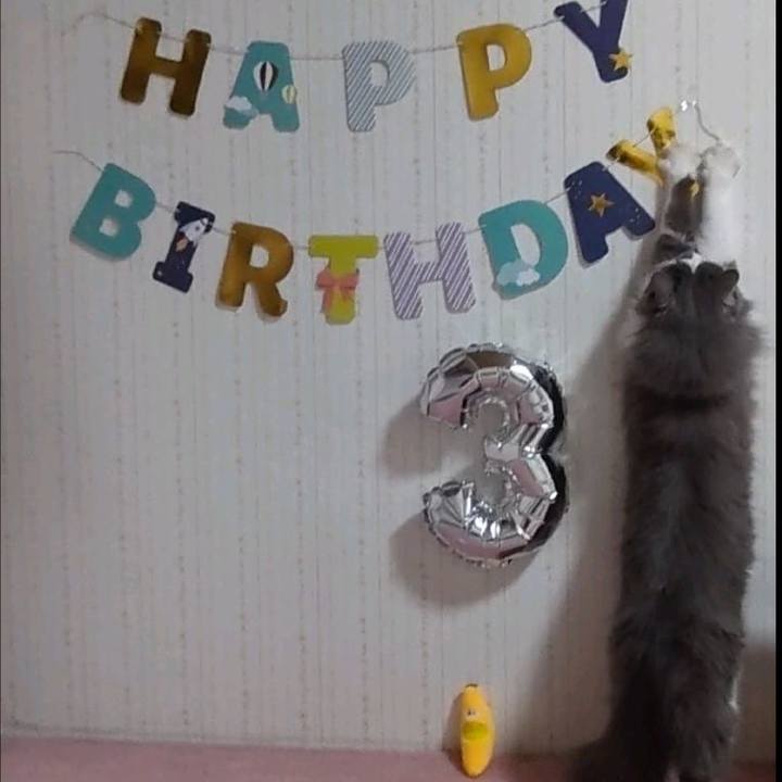 828aa89b 426b 4297 b1de 42027c252428 1651353823181