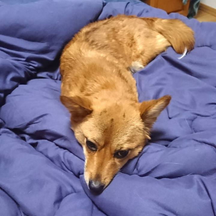 828ae56d 4594 4216 82a3 43a26bc0090d 1517757144994