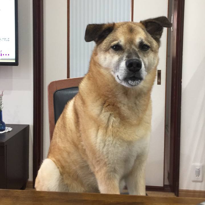 828aeb9e f75b 430e a91c 834f89cec11f 1562412714130