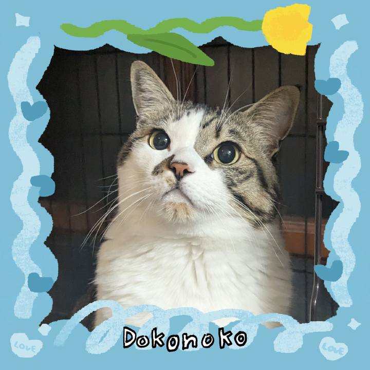 828af55a 0602 4e4c b4a5 880e3852cca0 1772191166605