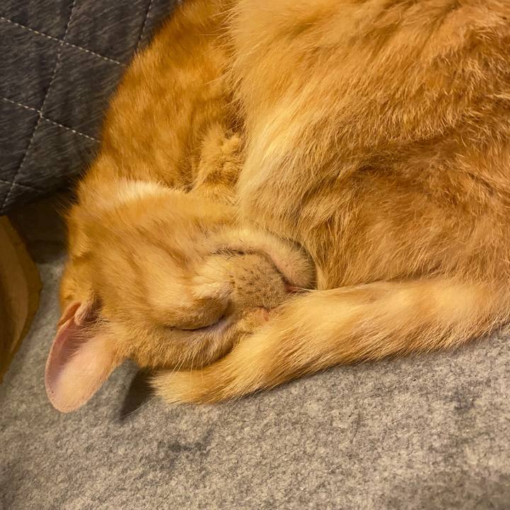 828af6a8 2ed0 43d5 92ef 7ea0403333c3 1578933247419