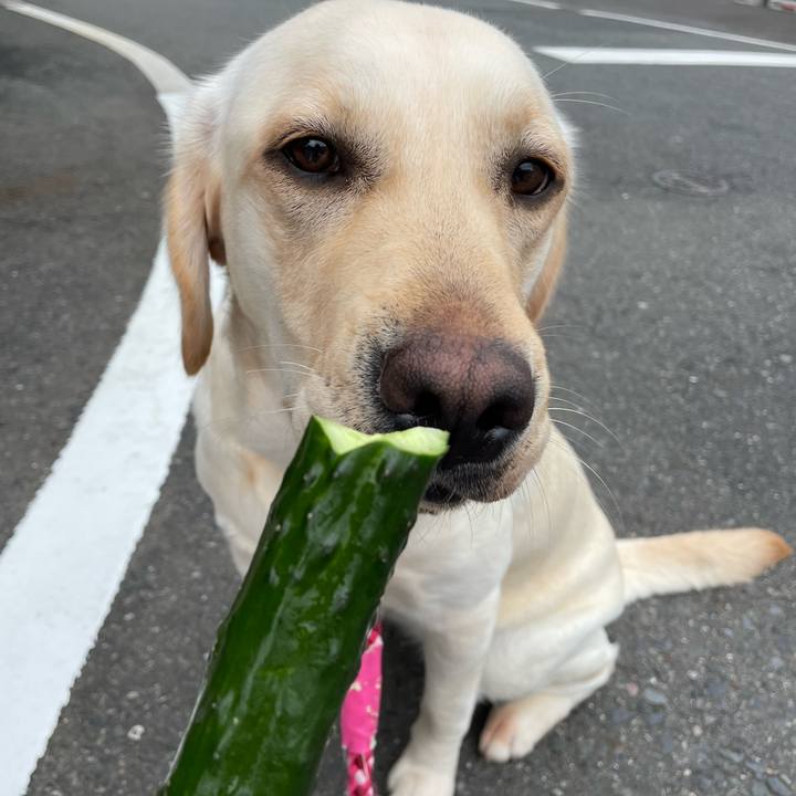 828b1a52 68cd 42cd 8aa5 c4181604753e 1650695020669