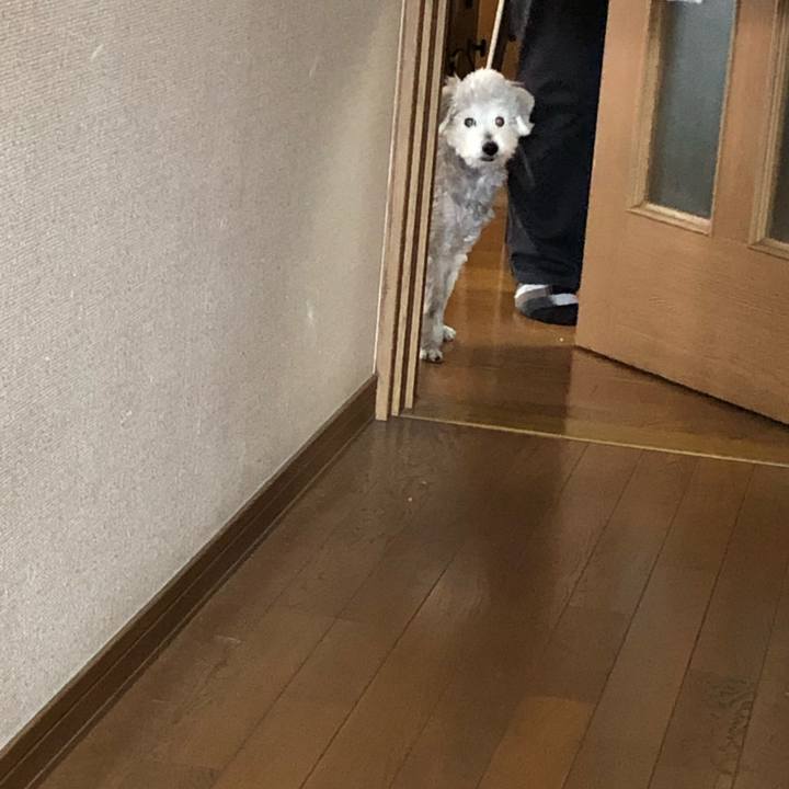 828b207d d359 450b 8e1b 6e7096abe62f 1617583422770