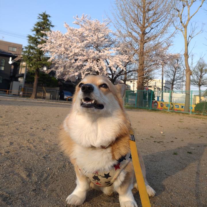 828b2f20 8f8f 4126 b149 ada212caf302 1649773455831