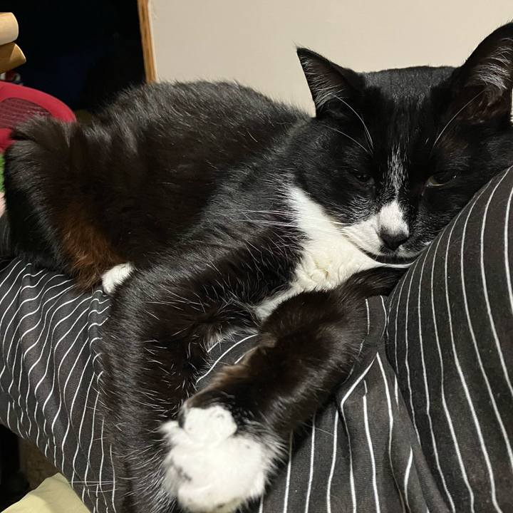 828b760b d2b8 4fb1 85c0 69ce5321a0aa 1755491736438