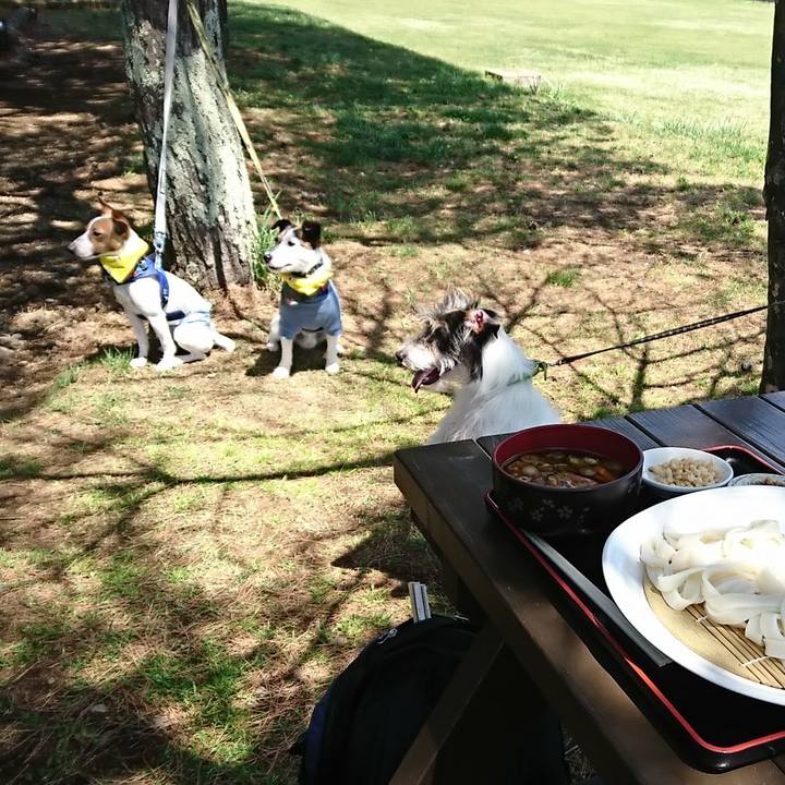 828bb16c 763f 400d adfd 8741bba17a4b 1524278731185