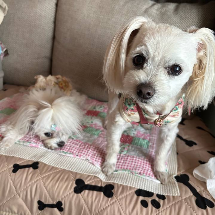 828be4ef 7b8e 46eb adec 708d78de817f 1774607844896