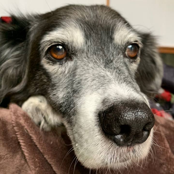 828c0f32 38dc 4ea7 a234 3915cbe0b52a 1575552809226