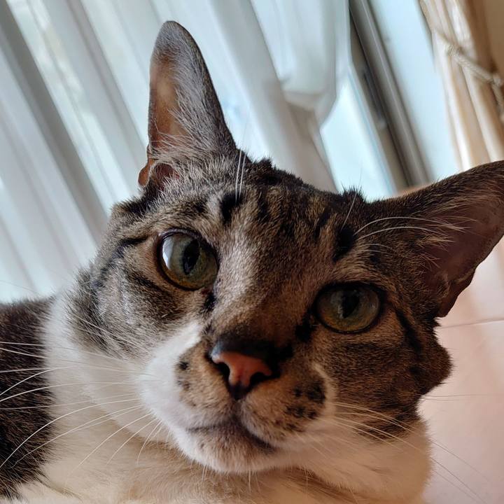 828c1523 e24e 4911 8fed 7ae00dd991ee 1650093325147