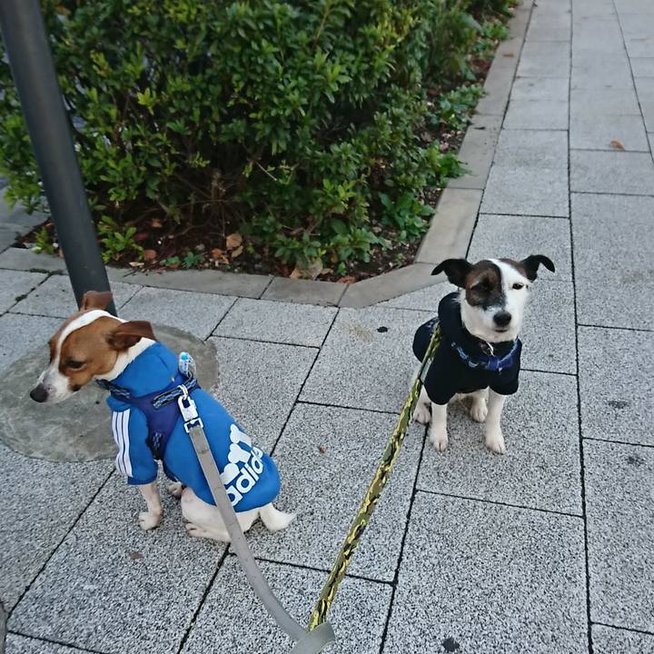 828c4076 7774 42bc 8be9 d8a51e64297c 1542319111810