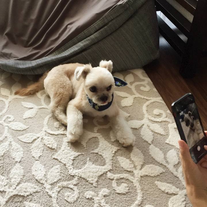 828c8e45 6b5d 4f8e 82dc 5dda28c917db 1552192493937