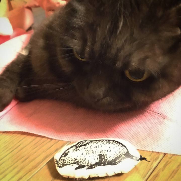 828cd1c7 5bd1 4392 87e9 5c8a5bd76c41 1582209620922