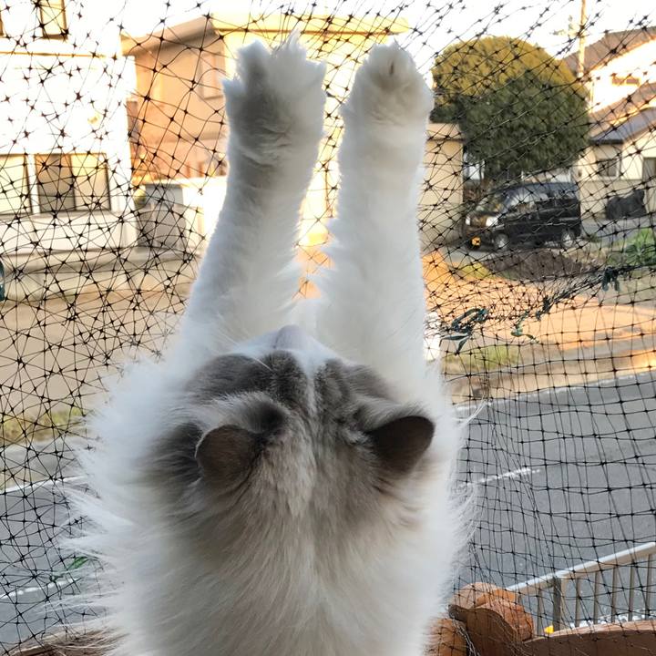 828cf5d0 ee64 49c9 8a02 e5028c48eaf8 1582669629007