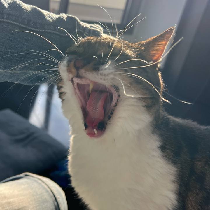 828cfa7e c0a8 4c61 918d 7d786841ea96 1761485891930