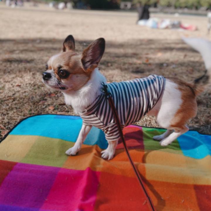 828d1336 70ac 4fd6 aa04 b3851409a3cd 1606205050850