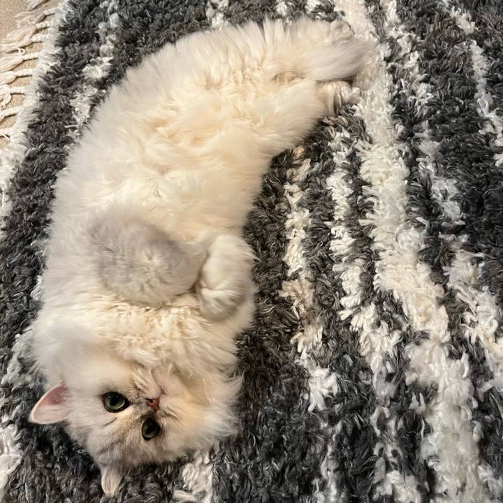 828d513a f0a7 467c b4f7 6ee028121159 1702863308689