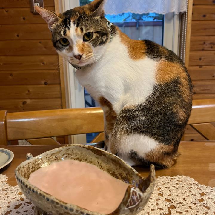 828d5c11 e895 4029 909e 7fc032809a05 1654595430901