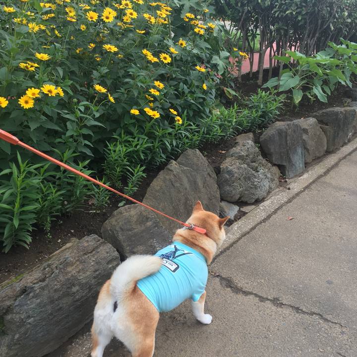 828d84da 3cff 4bc0 a589 0dd4e0e6120a 1562398550914