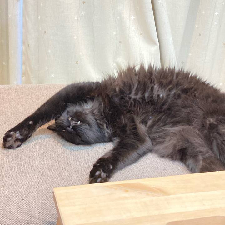 828da791 f149 4abb b47c 6f015c1e8681 1751694291151