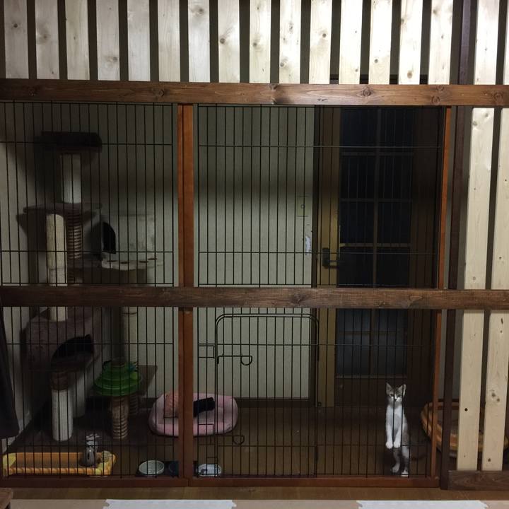 828db0ee 8ca6 446a 8790 398d5267fdaf 1631962948891