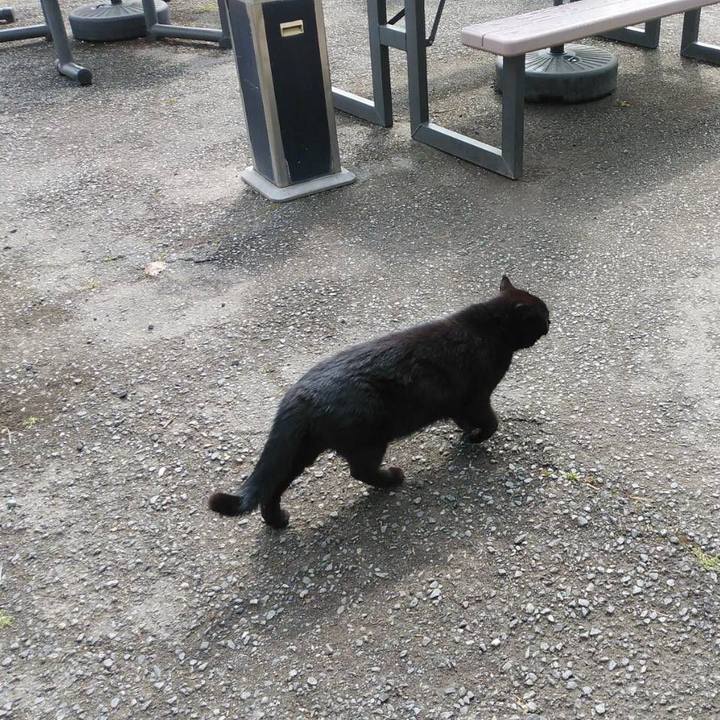 828ddd21 55cd 4dc5 bdfa 6fd43b09ff27 1620952189543