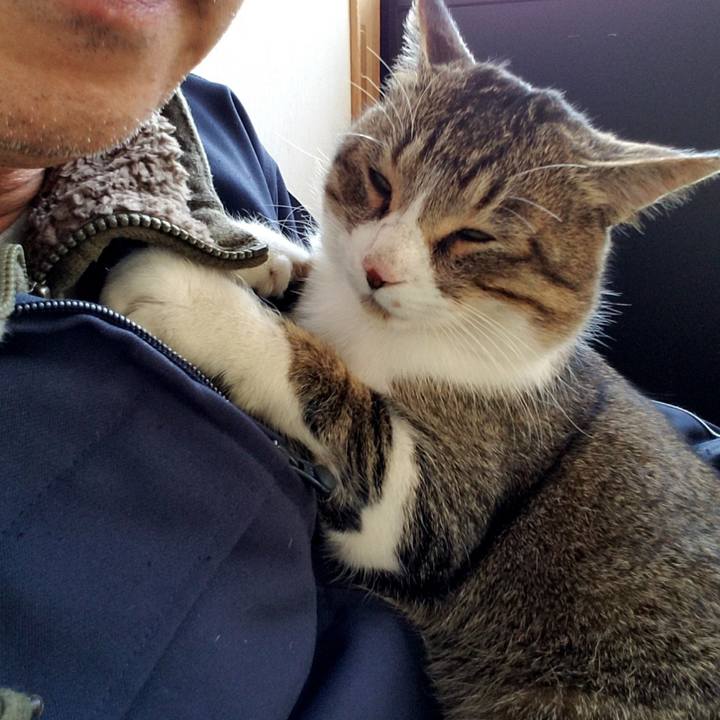 828e3215 103e 418f 8b66 f84f3091a4c6 1518530862757