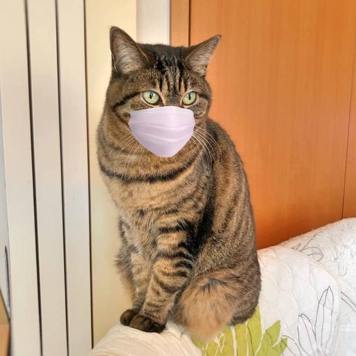 828e47fd 6361 46c6 9381 a759509eb3ce 1775770940219