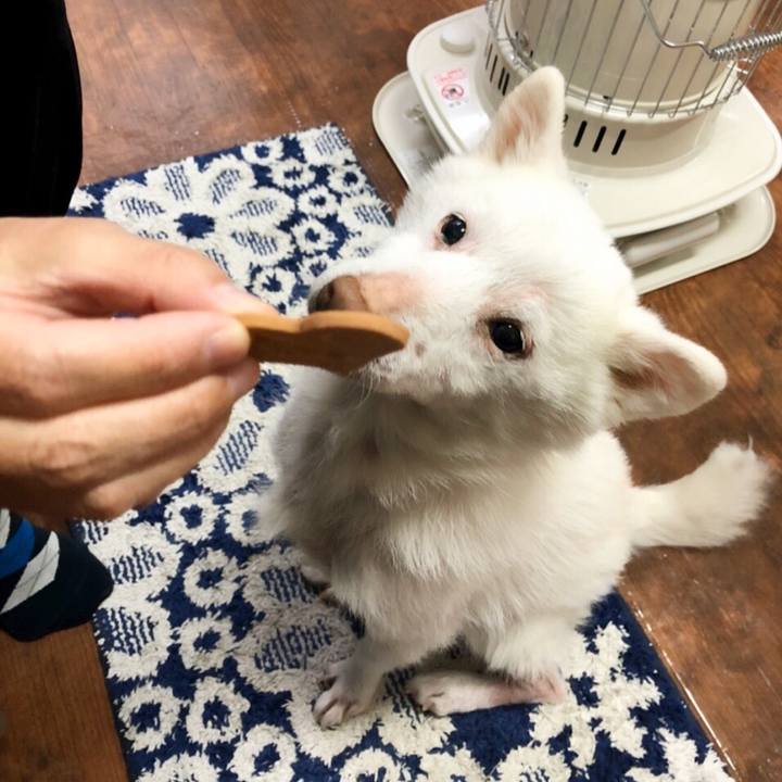 828e6206 f04e 49dc aaa1 b95216adf64a 1581688902381