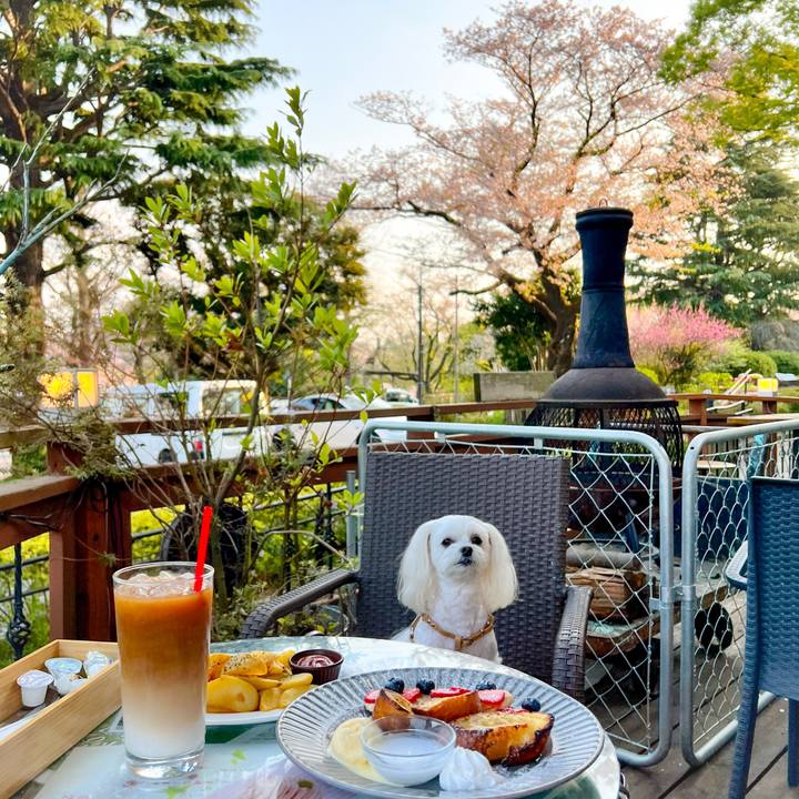 828e6715 9c75 4d83 9a7a 67680a7c9fba 1680350919066