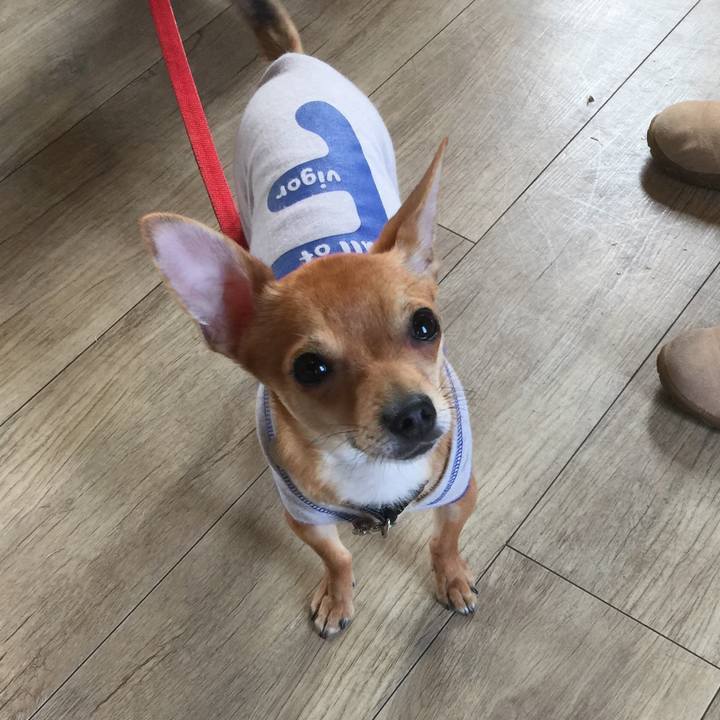 828e7c47 39e1 422c bd15 6633289aafcf 1554618062685