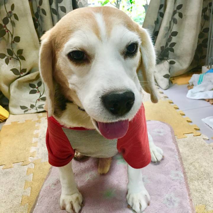 828e90b7 fa8b 4d2d 95e0 12a304484e59 1763012550494