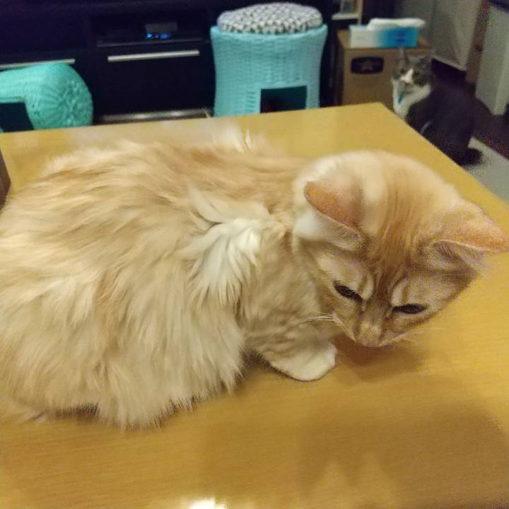 828e91bd b702 40b1 b613 c643fffc8a8c 1616930709335