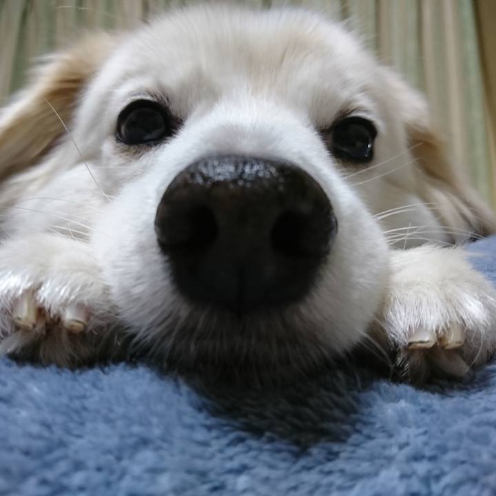 828e99b0 5206 4c59 b485 6e8ef6015fe7 1640520266085