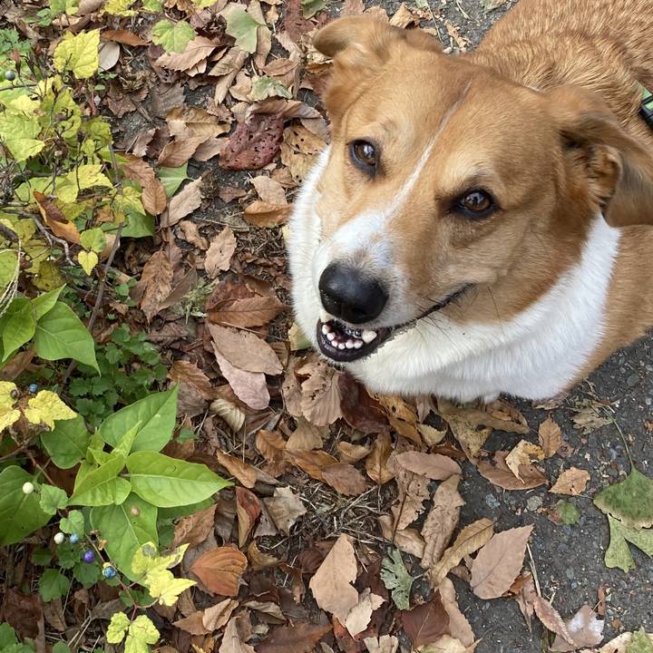 828eafda 0dbb 4039 9734 091ca5498253 1764552224534