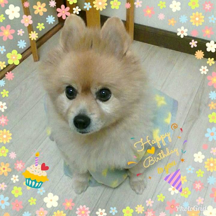 828eb827 f31b 4e1d 88c1 3c67831ea70c 1521498530506