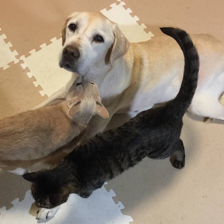 828ec966 872f 40de 9a1b df465ea1b9b8 1535717093841