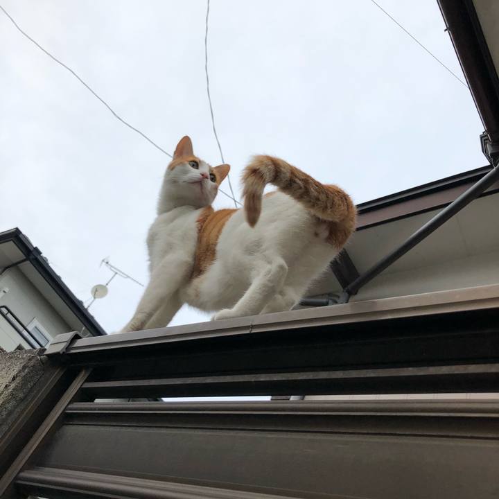 828ed687 0838 46ea 87ad a0de51d55f0a 1560159356344