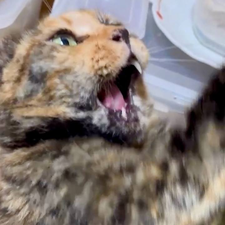 828ee547 baa4 43c4 80bf 7ba3ec56973a 1751708086998