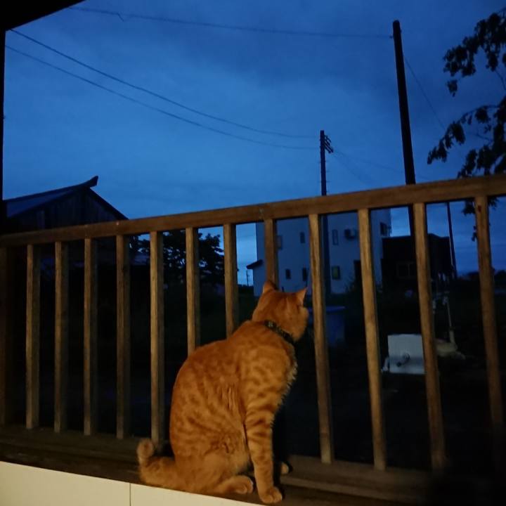 828f0a1d e9f1 4b80 976d 63b6db1cd712 1662583493523