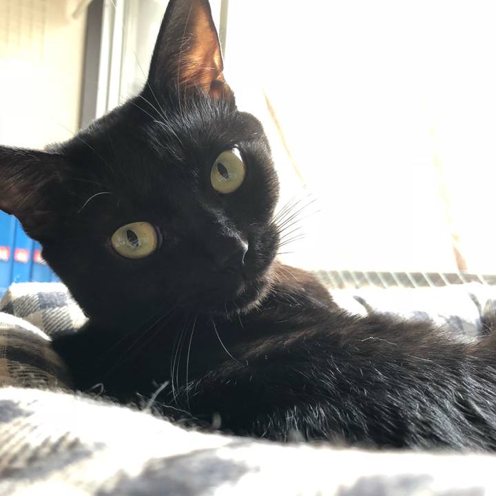 828f1beb a1d5 43c0 996b ed881eb3334f 1536829681313