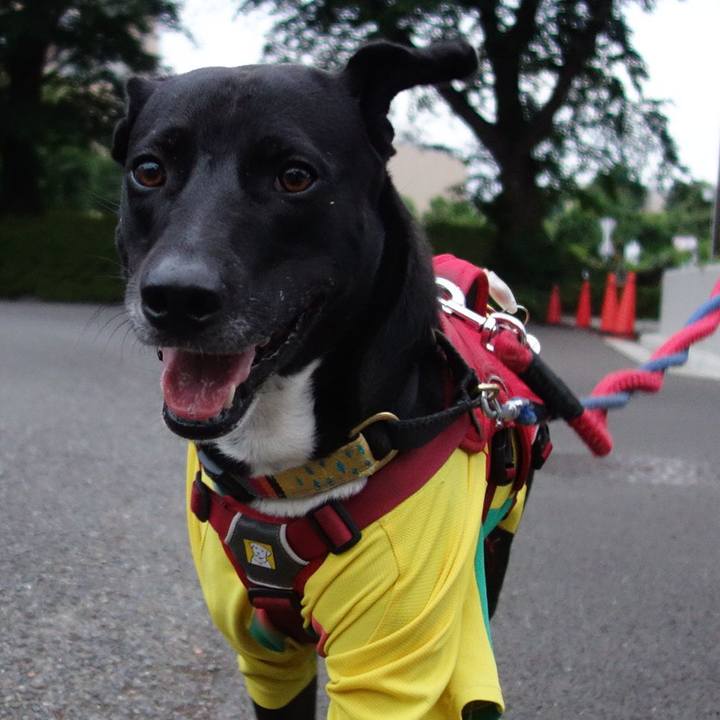 828f3b37 d78f 4d3c b552 c93b5020925f 1621853035664