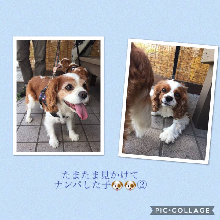 828f41e1 6653 4d28 8ebd f606e3900374 1531231593364