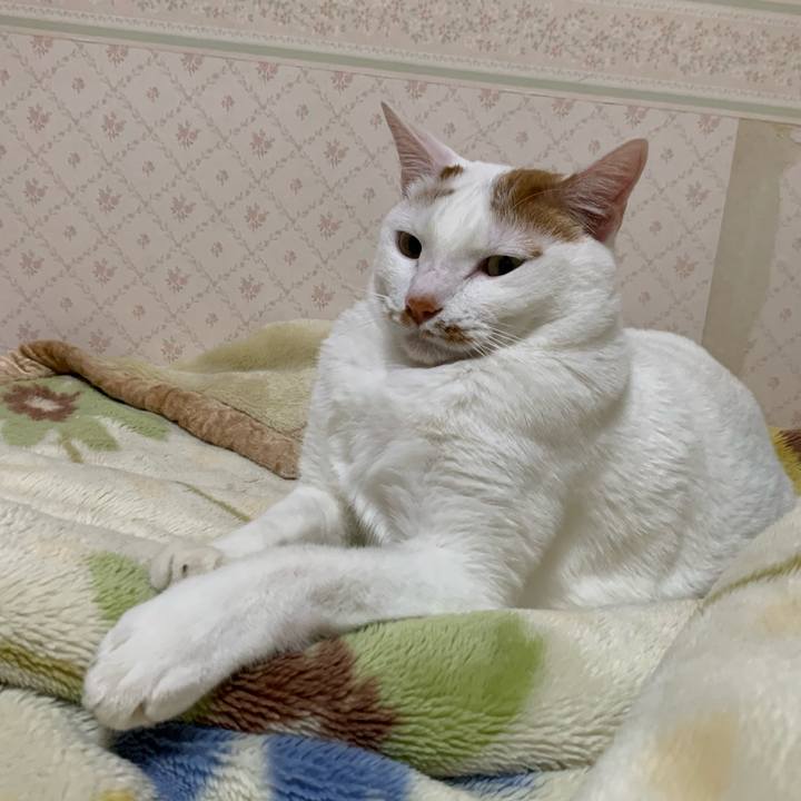 828f48a0 4596 4d04 86cf 41bf392699d1 1620226324753