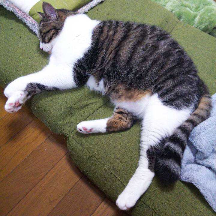 828f5410 8e2f 409b 9df2 b62508547ac1 1654434942429