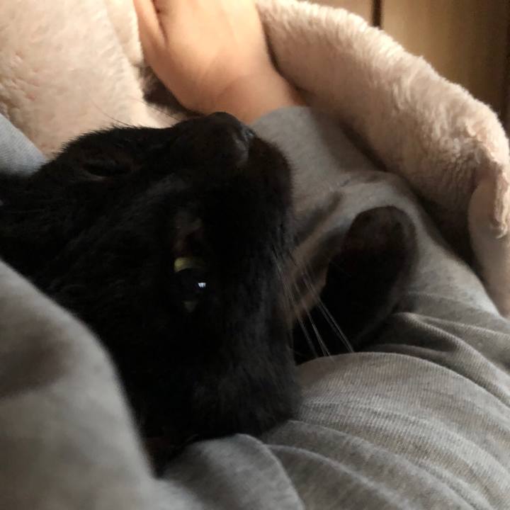 828f9198 8454 4f87 9edd 48466aa196c6 1728507412901