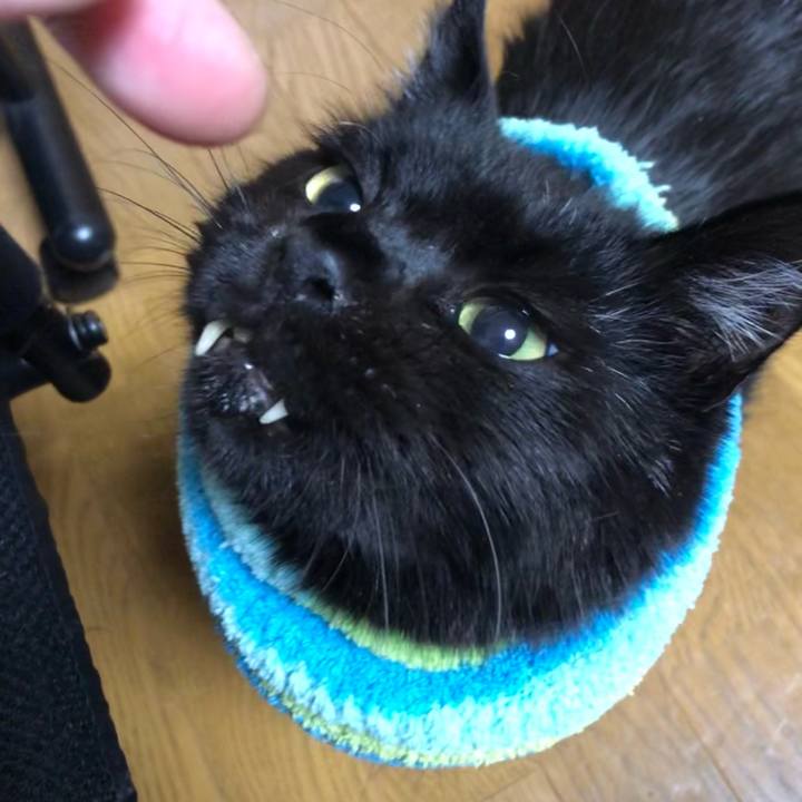 828fac27 d20f 4e17 bba7 2c9d9257ec29 1609243769346