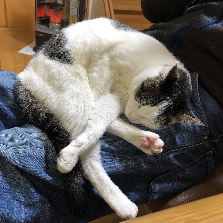 828fb490 f75d 4aac a0bd 8461ebe0319a 1643805112673