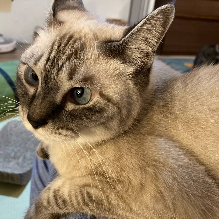 828fb55f 4bae 4153 8cd4 6e5a8d1330d6 1631274046066